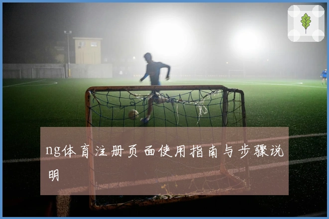 ng体育注册页面使用指南与步骤说明