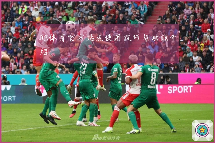 ng体育官方站点使用技巧与功能介绍