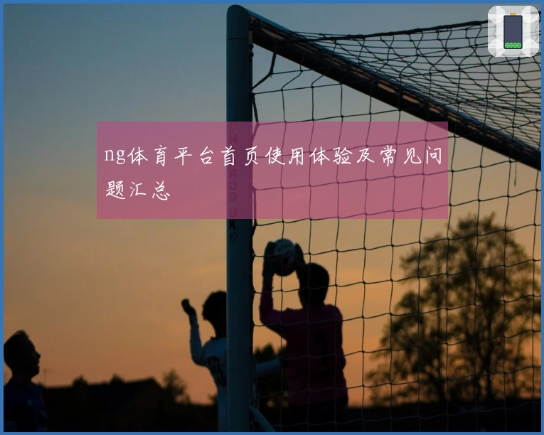 ng体育平台首页使用体验及常见问题汇总