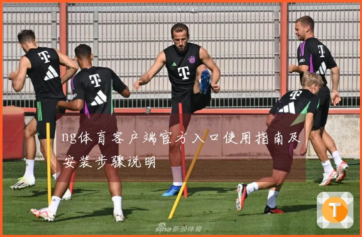 ng体育客户端官方入口使用指南及安装步骤说明