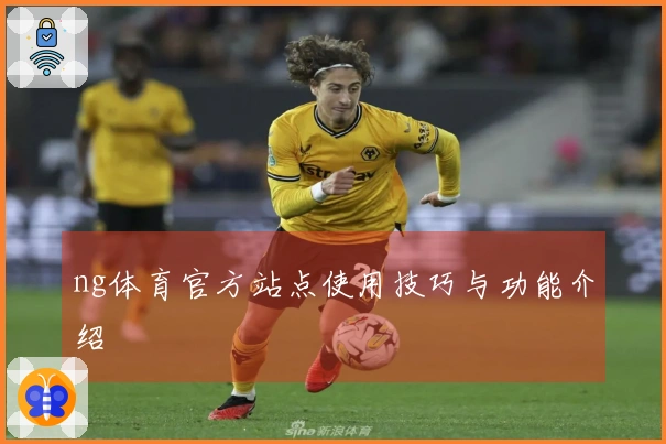ng体育官方站点使用技巧与功能介绍