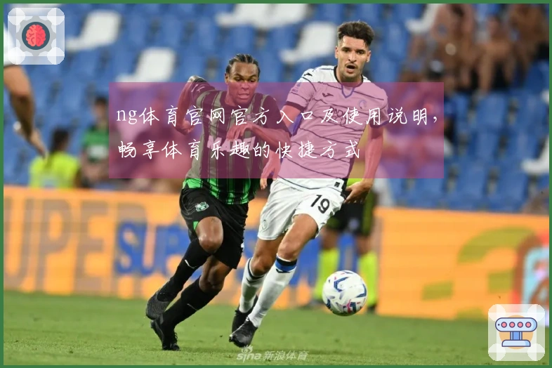 ng体育官网官方入口及使用说明，畅享体育乐趣的快捷方式