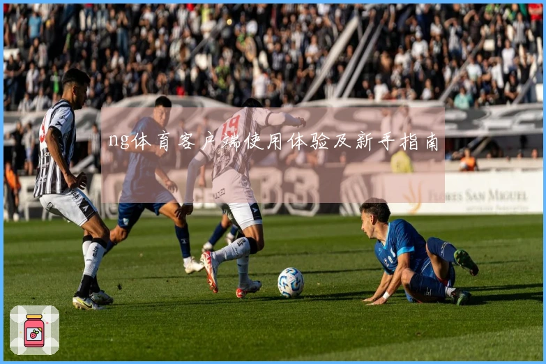ng体育客户端使用体验及新手指南
