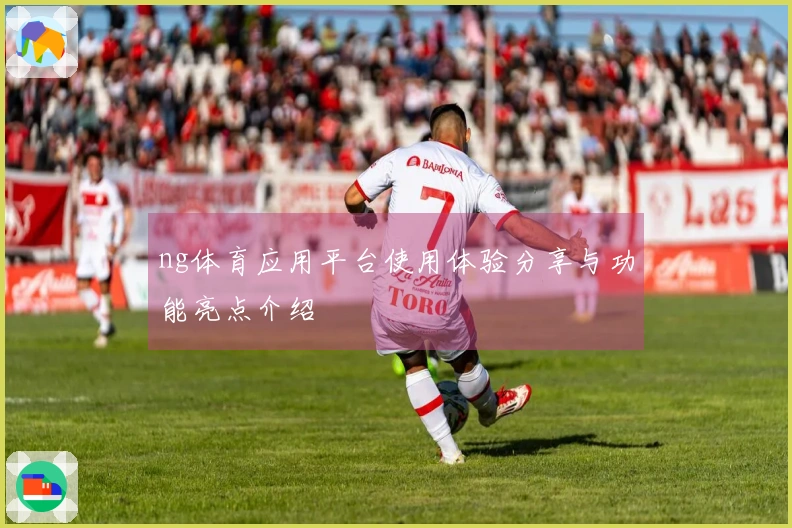 ng体育应用平台使用体验分享与功能亮点介绍