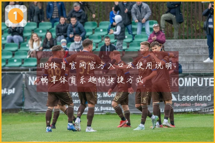 ng体育官网官方入口及使用说明，畅享体育乐趣的快捷方式
